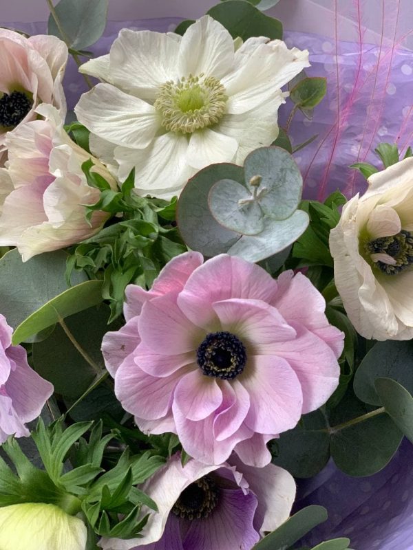 BOUQUET ANEMONES 3