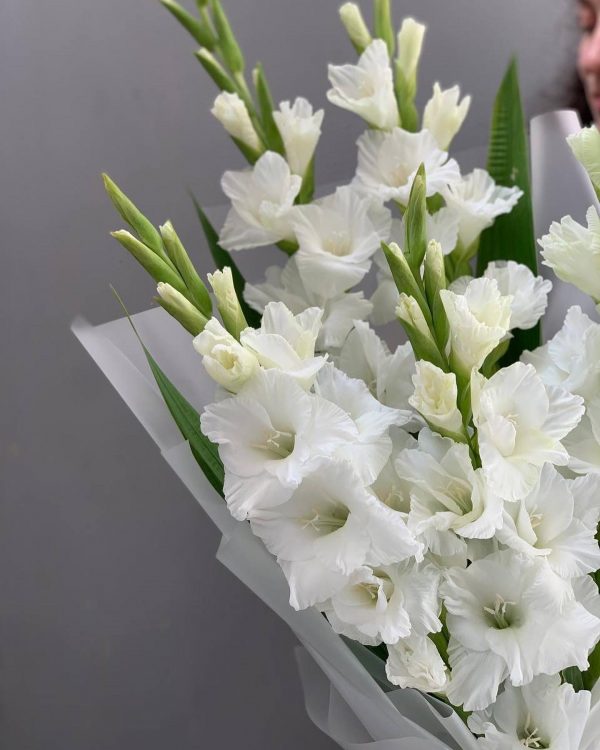 BOUQUET WHITE G