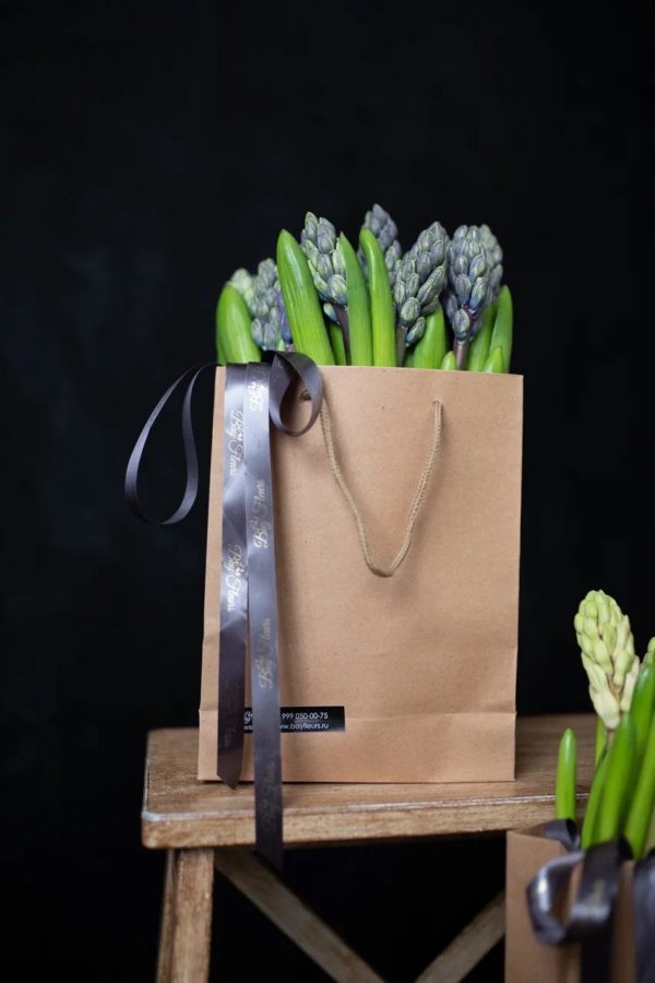 SPRING KRAFT BAG 9