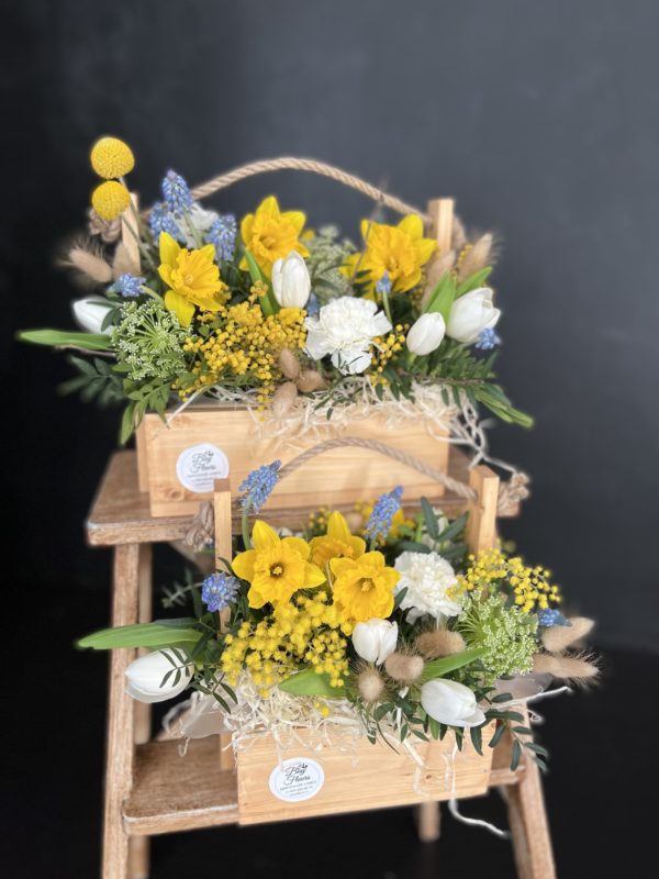 SPRING KRAFT BOX L